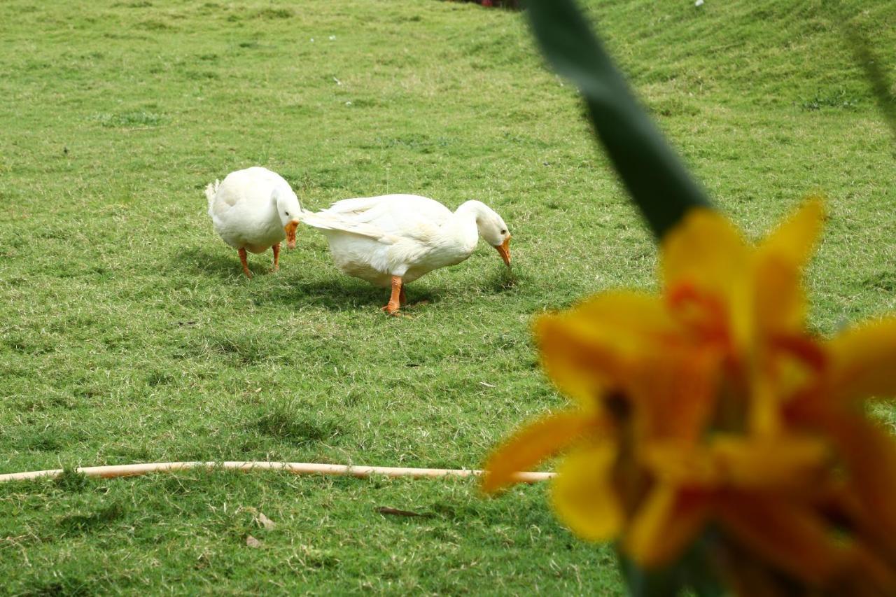 Nature Leap Resort Igatpuri Exterior foto